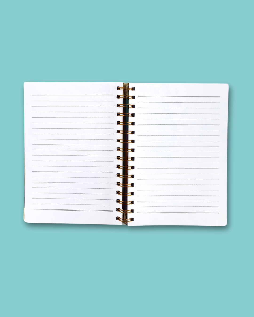 She is Driven and Will Succeed Hardcover Spiral Journal