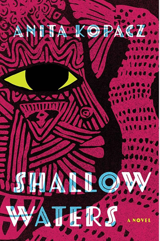 Shallow Waters: A Novel by Anita Kopacz (hardcover)