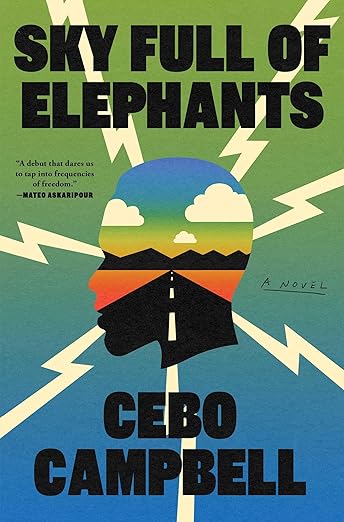 Sky Full of Elephants: A Novel by Cebo Campbell (hardcover)